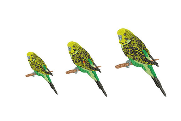 Parakeet Bird Embroidery